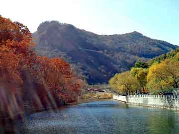 澳门二四六天天彩图库，定西物流